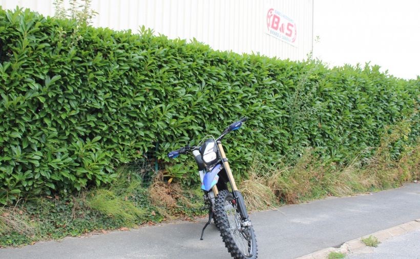 ELECTRIC MOTION Escape XR Limited Homologué 3