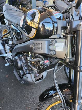 YAMAHA XSR 125 - 2024