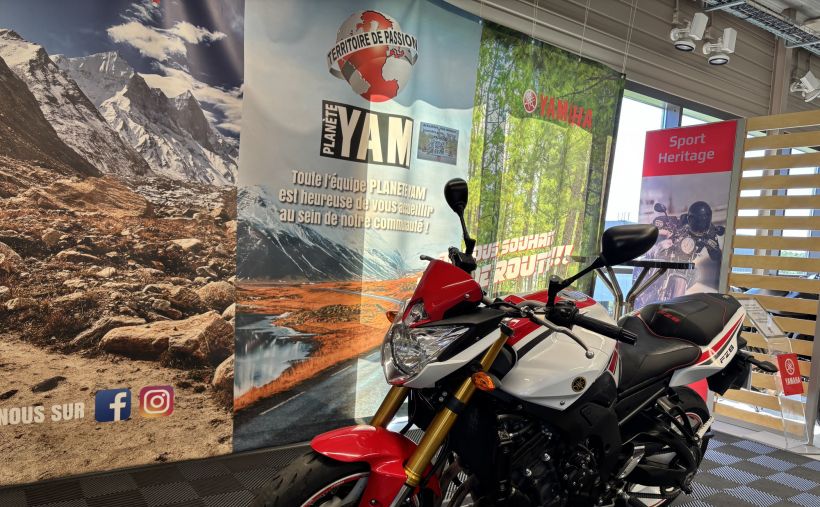 YAMAHA FZ8 6