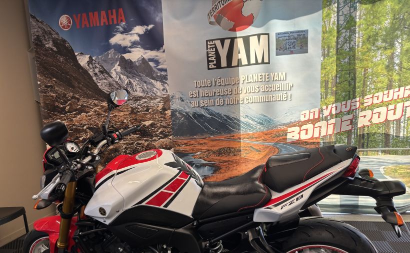 YAMAHA FZ8 5