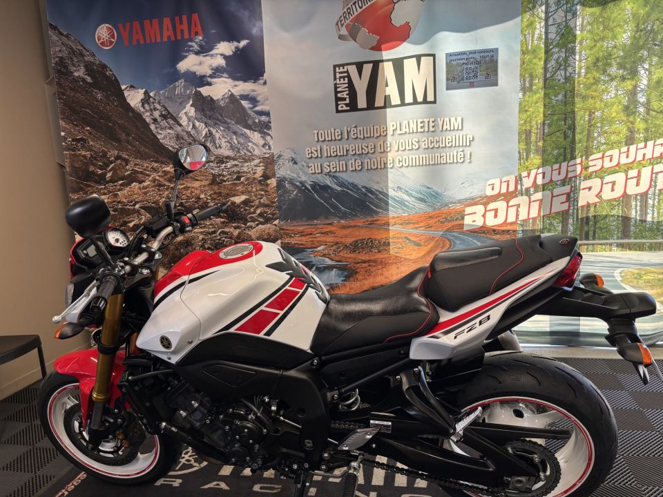 YAMAHA FZ8 5