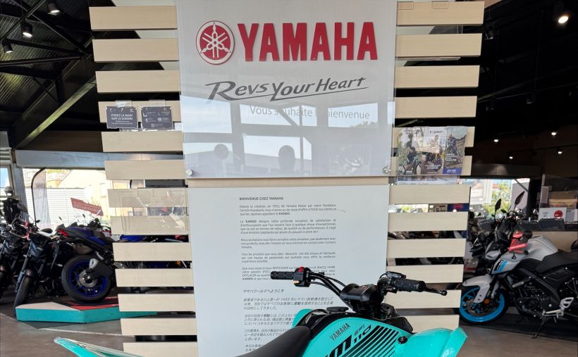 YAMAHA YFM 90 RAPTOR 6