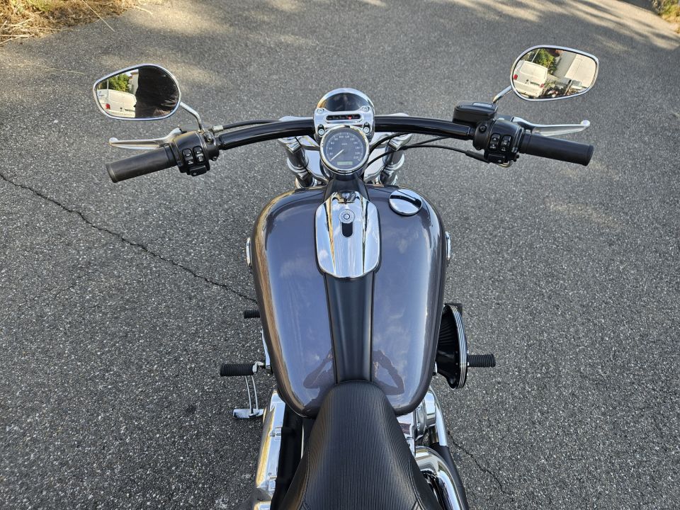 HARLEY-DAVIDSON SOFTAIL BREAKOUT 1690 10