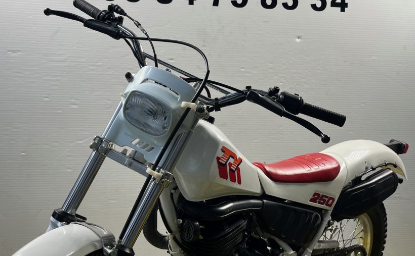 YAMAHA TY 8