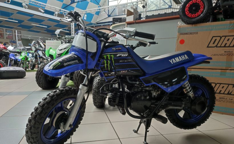YAMAHA PW50 0