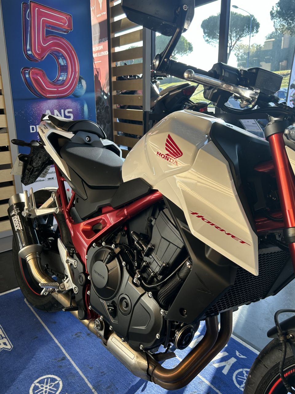 HONDA CB 750 HORNET 3