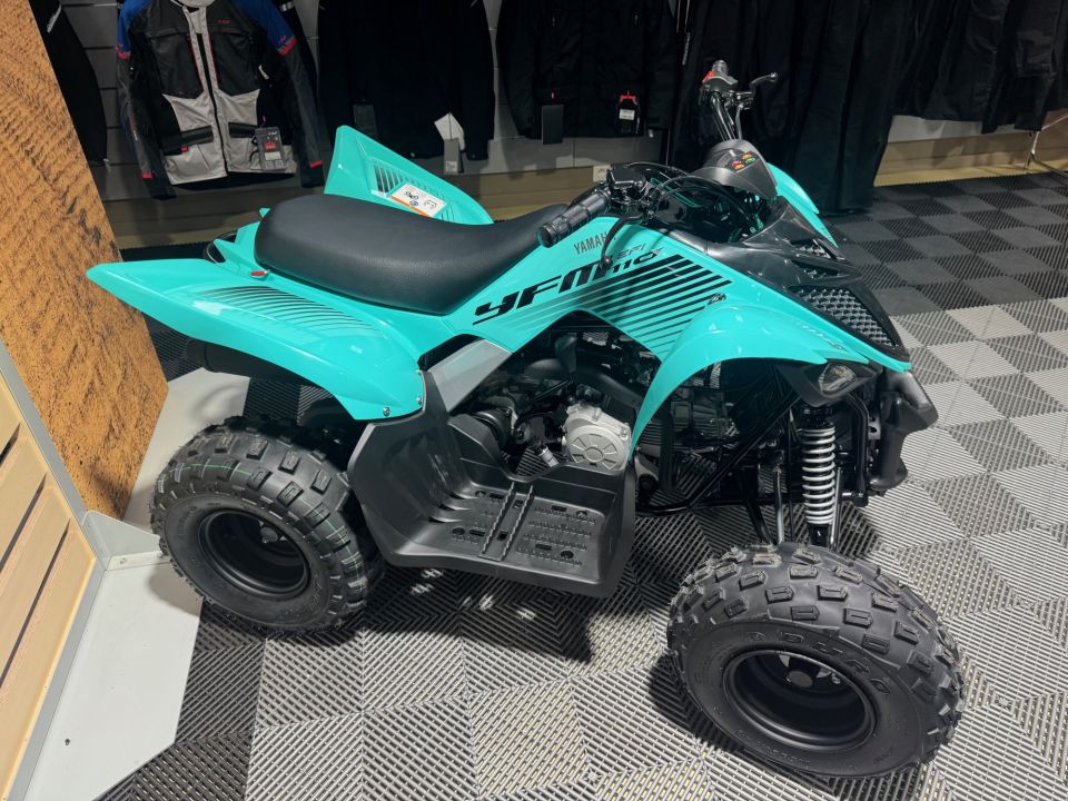 YAMAHA YFM 110 RAPTOR 3
