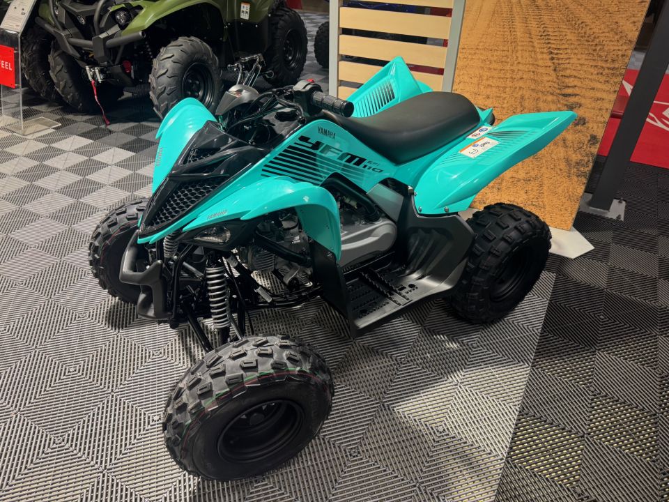 YAMAHA YFM 110 RAPTOR 6