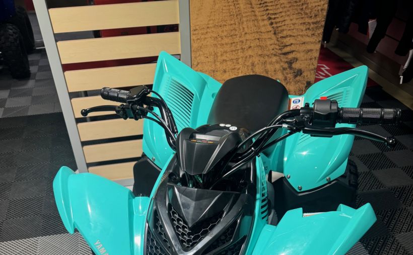 YAMAHA YFM 110 RAPTOR 4