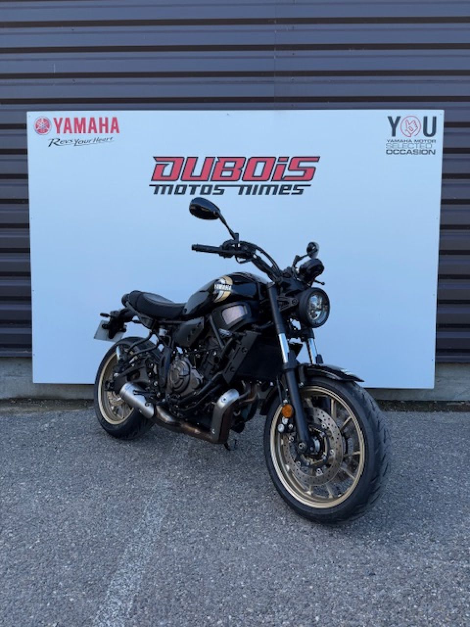 YAMAHA XSR 700 1