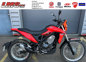 BETA ALP 4.0 - 2024