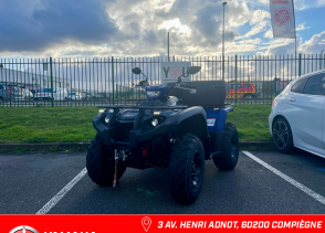 YAMAHA KODIAK - 2024