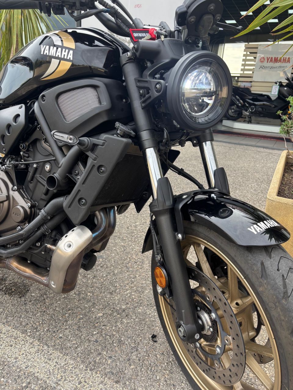 YAMAHA XSR 700 1