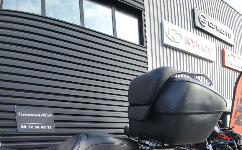 HARLEY-DAVIDSON TOURING ROAD KING 1450 CUSTOM 5