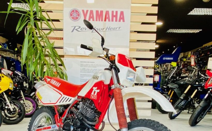 YAMAHA TT 250R 1