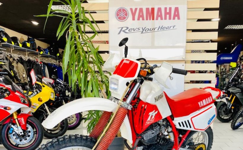 YAMAHA TT 250R 3