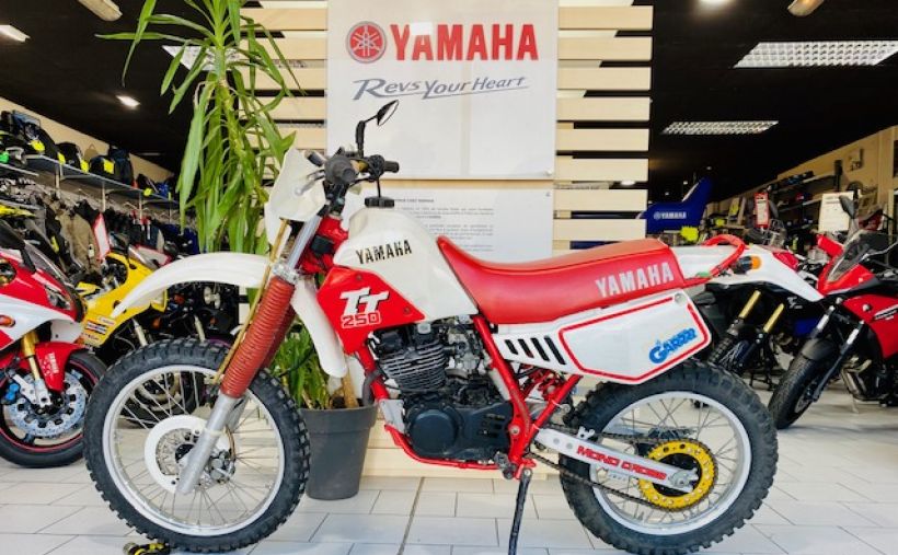 YAMAHA TT 250R 4