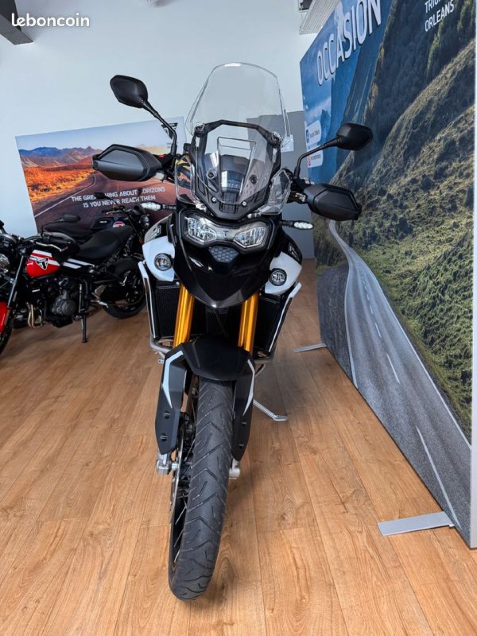 TRIUMPH TIGER 900 RALLY PRO 2