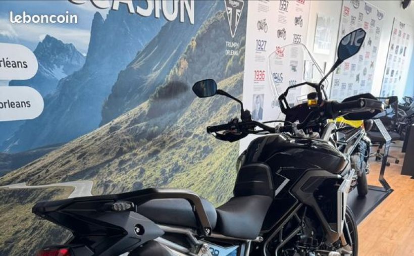 TRIUMPH TIGER 900 RALLY PRO 6