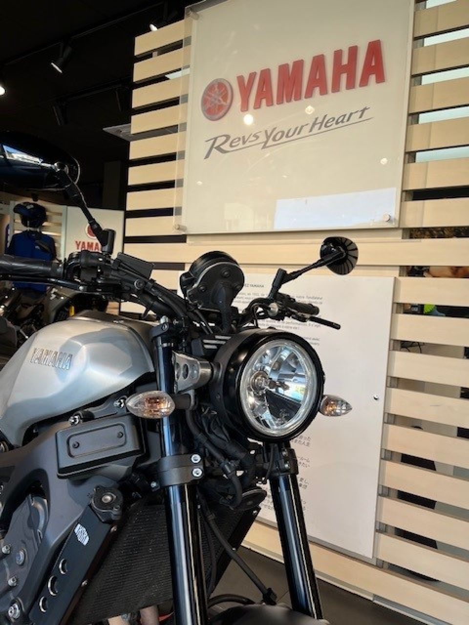 YAMAHA XSR 900 5
