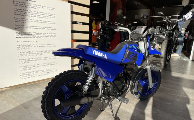 YAMAHA PW50 2