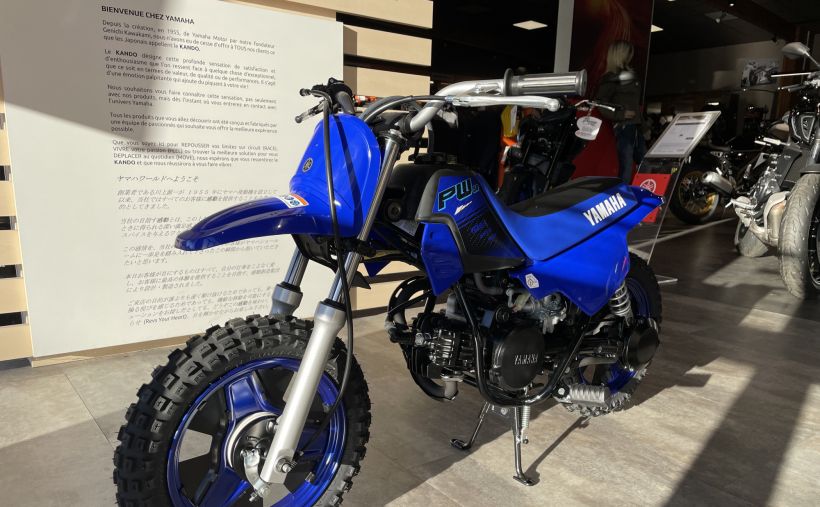 YAMAHA PW50 3