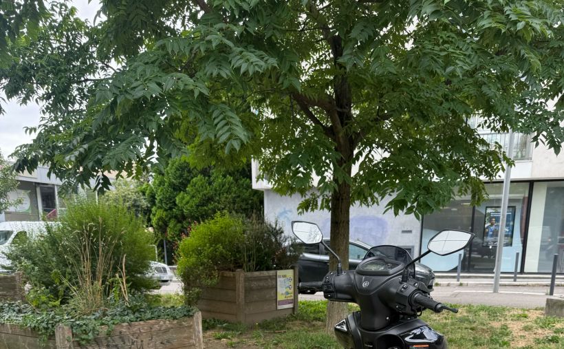 YAMAHA RayZR 125 2