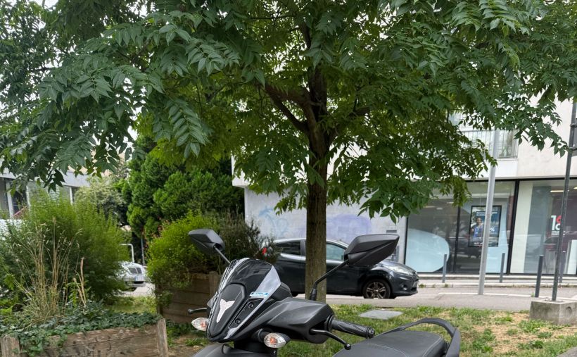 YAMAHA RayZR 125 5