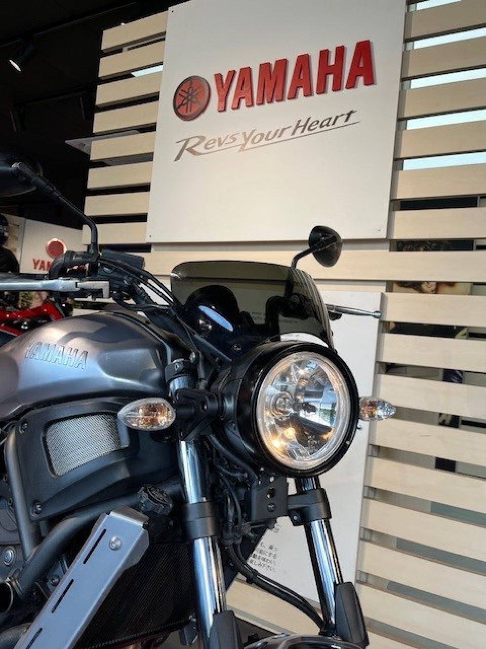YAMAHA XSR 700 35KW 2