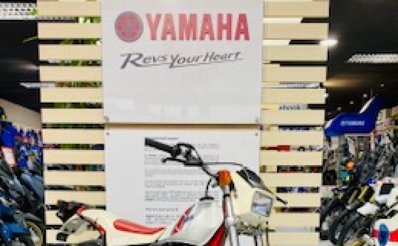 YAMAHA YAMAHA TY 250 S 1