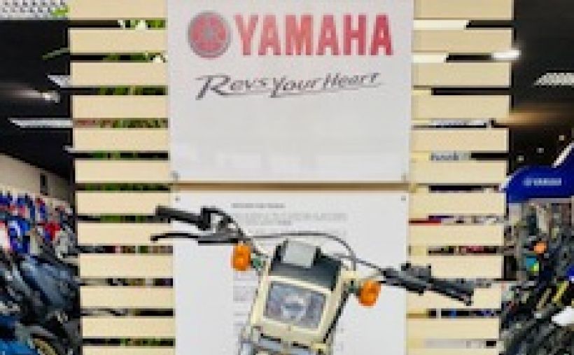 YAMAHA YAMAHA TY 250 S 2