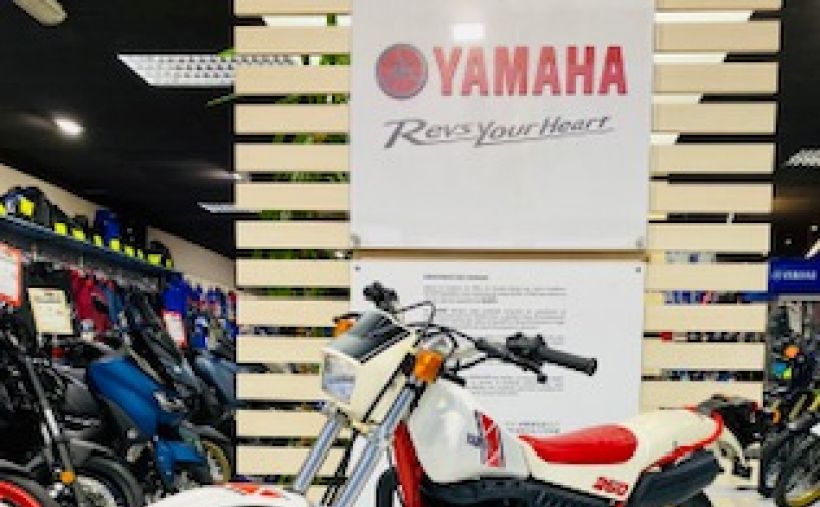 YAMAHA YAMAHA TY 250 S 3