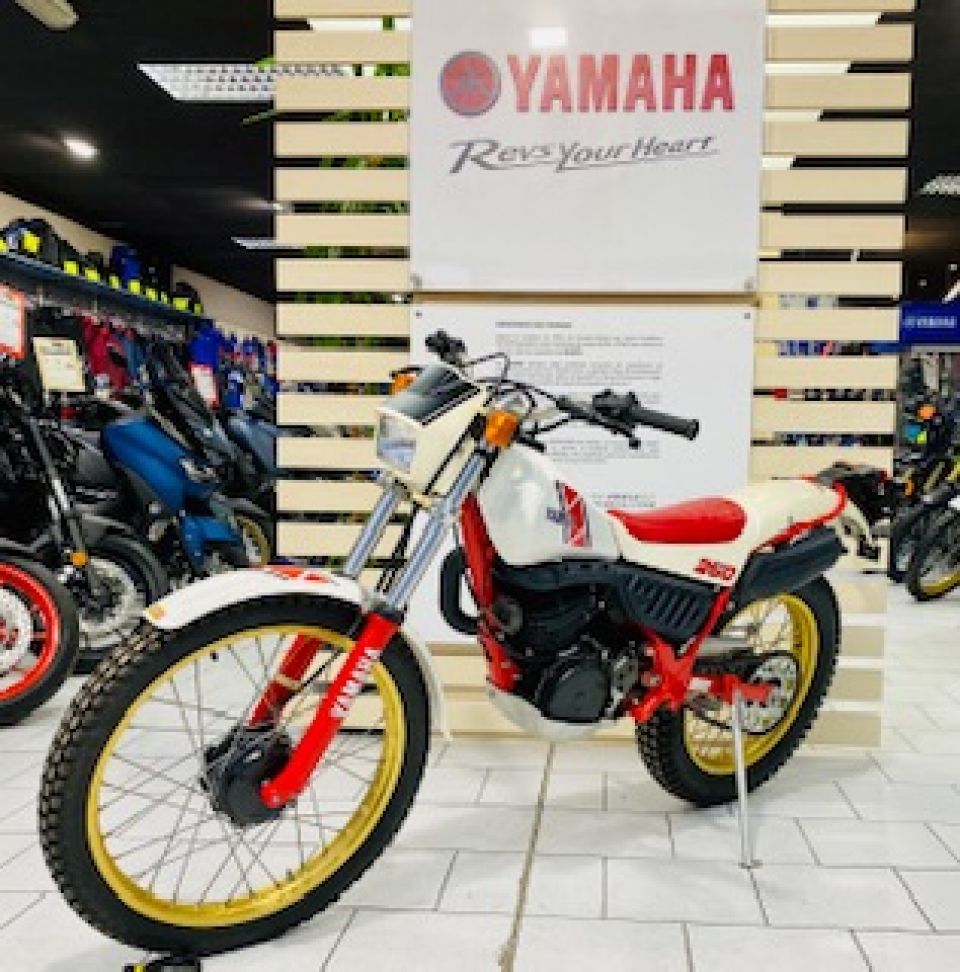 YAMAHA YAMAHA TY 250 S 3