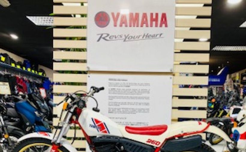 YAMAHA YAMAHA TY 250 S 4