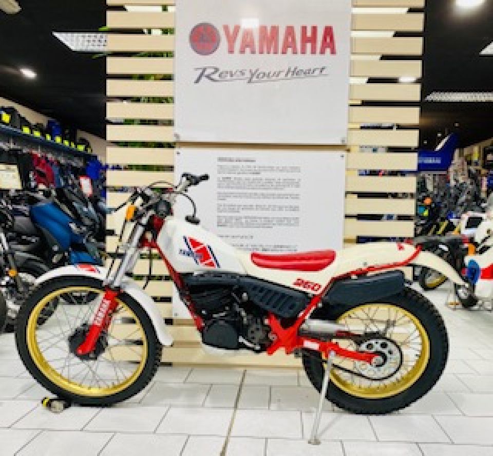 YAMAHA YAMAHA TY 250 S 4