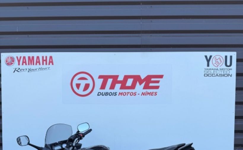 YAMAHA FZ8 S 5