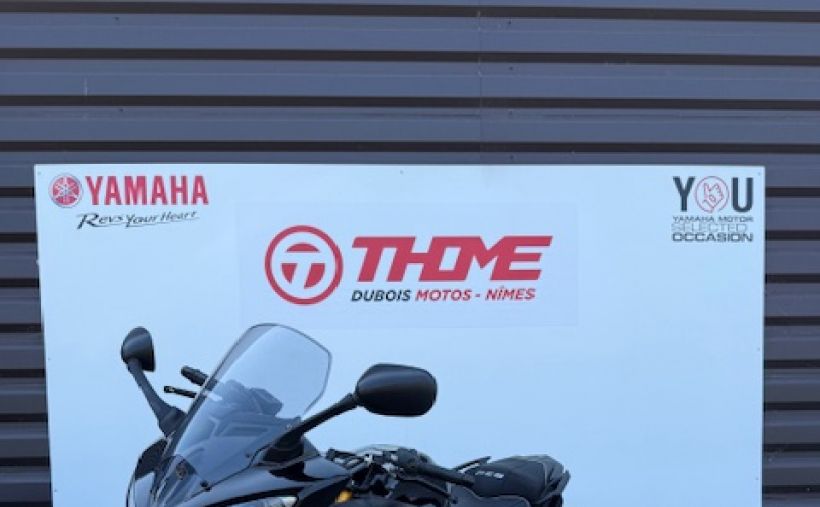 YAMAHA FZ8 S 3