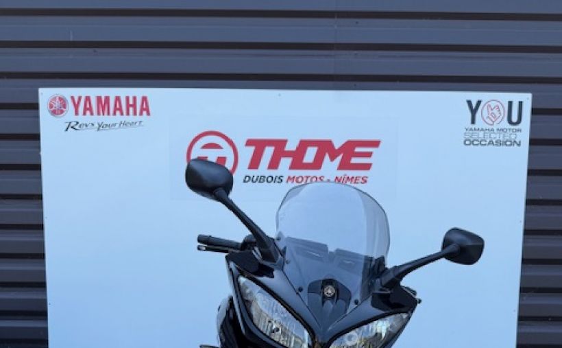 YAMAHA FZ8 S 2