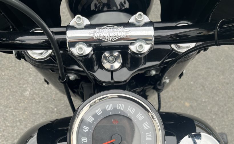 HARLEY-DAVIDSON SOFTAIL HERITAGE 1868 CLASSIC 26
