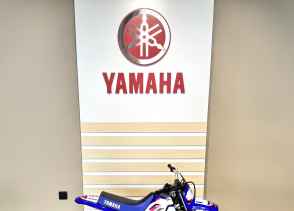 YAMAHA PW50 - 2025