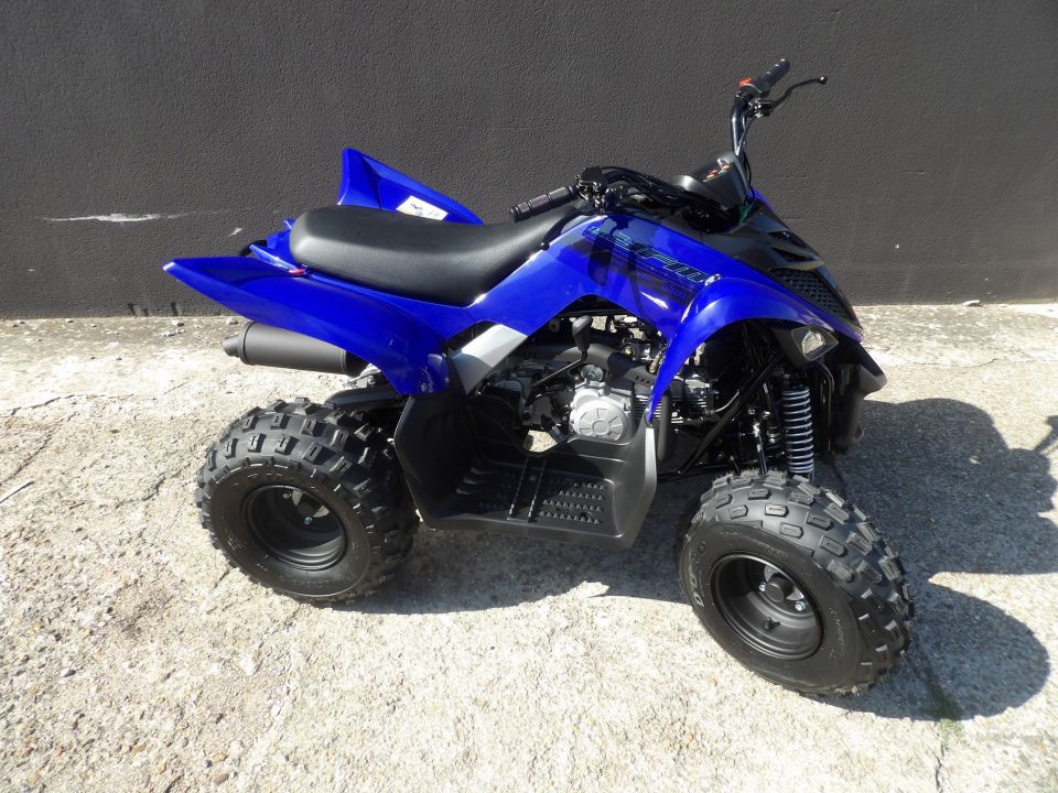 YAMAHA YFM RAPTOR 110 0