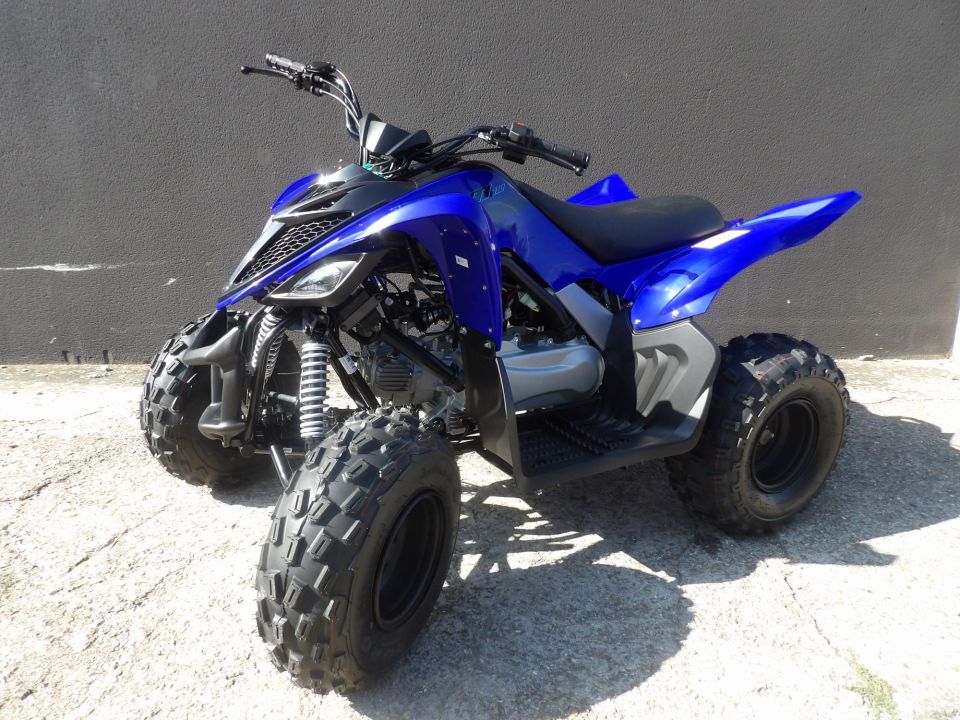 YAMAHA YFM RAPTOR 110 6