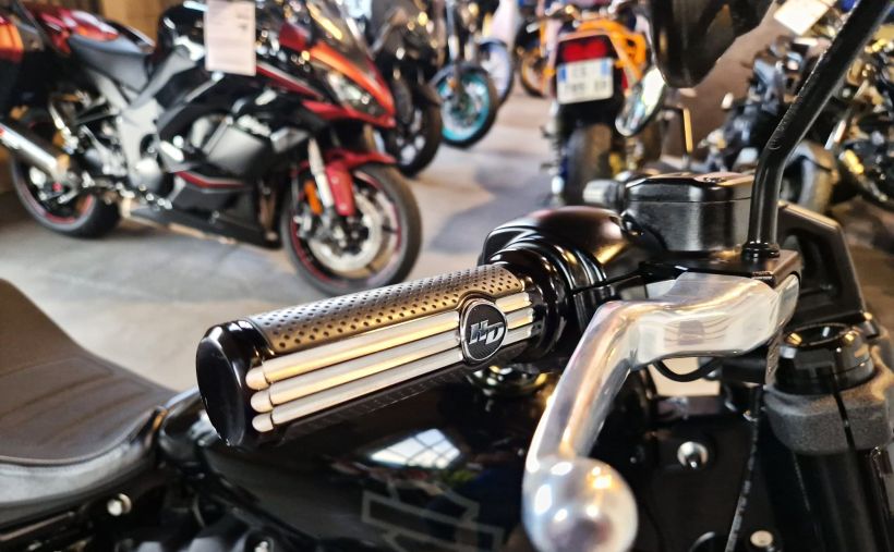HARLEY-DAVIDSON SOFTAIL FAT BOB 1800 9