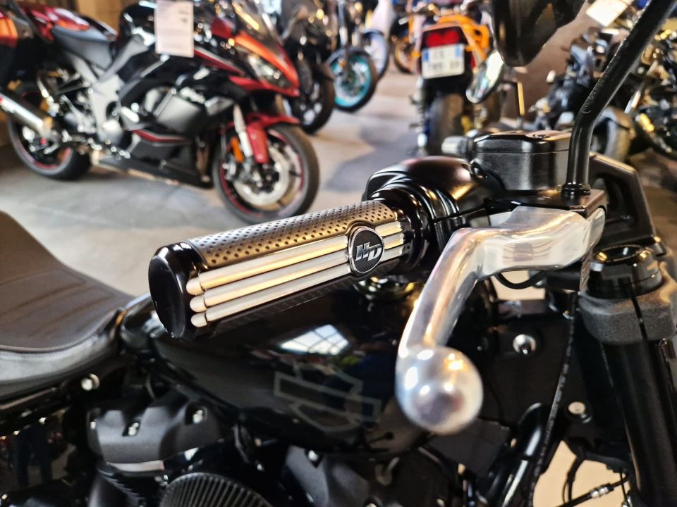 HARLEY-DAVIDSON SOFTAIL FAT BOB 1800 9