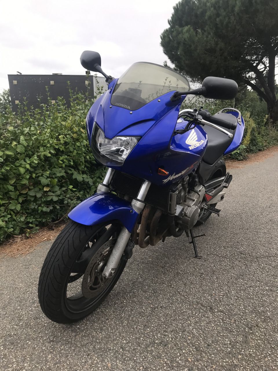 HONDA CB 600 F HORNET 12