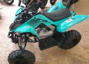 YAMAHA YFM 110 RAPTOR - 2025