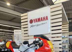 YAMAHA XSR 900 GP - 2024