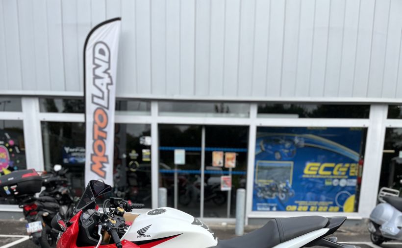 HONDA CBR 600 F 6
