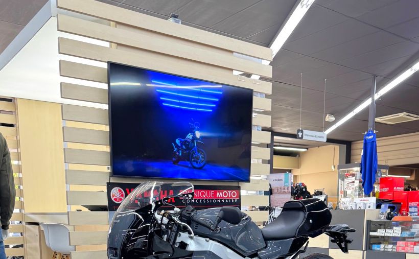 YAMAHA XSR 900 GP 35KW 3