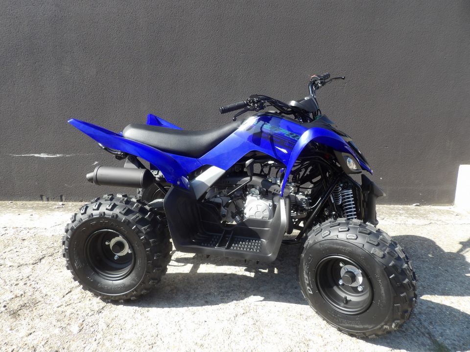 YAMAHA YFM 110 RAPTOR 2